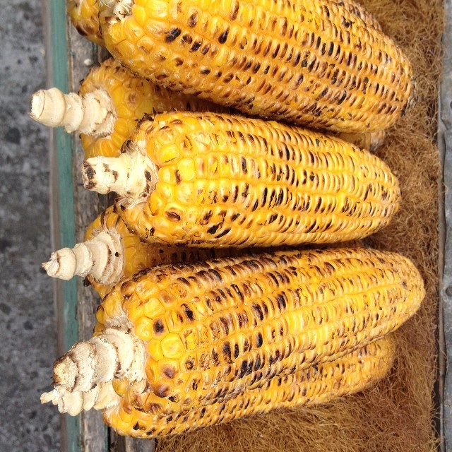 Belize Corn ce51e2e49f8411e3838a1219189c01ee_8