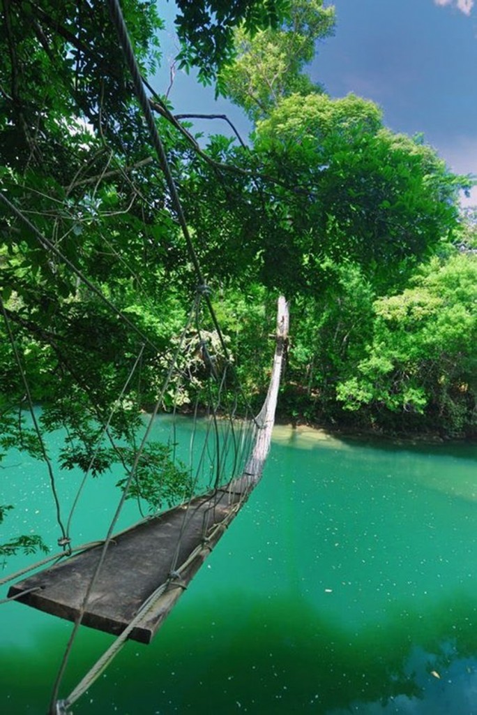 hammock bridge belize