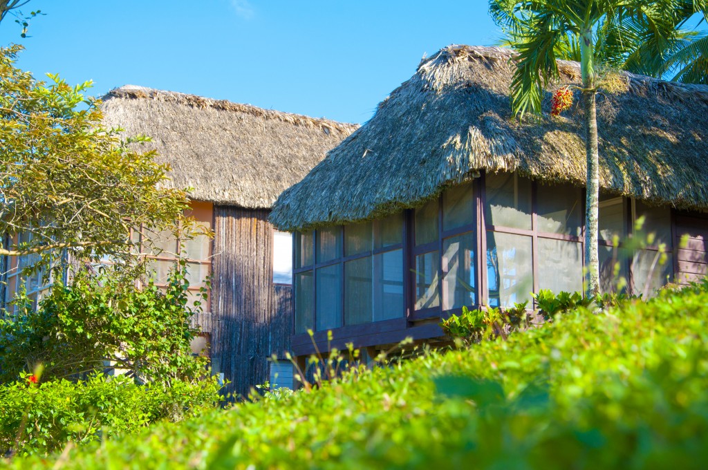 spend your new years christmas and thanksgiving vacations in belize