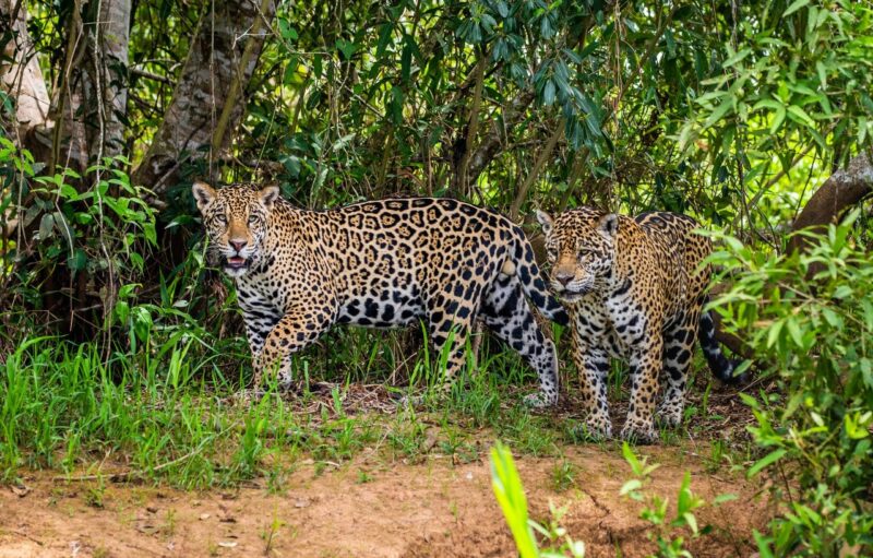  best time to visit Belize September