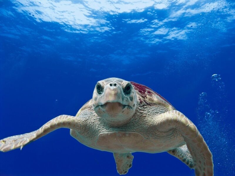 Belize travel tips