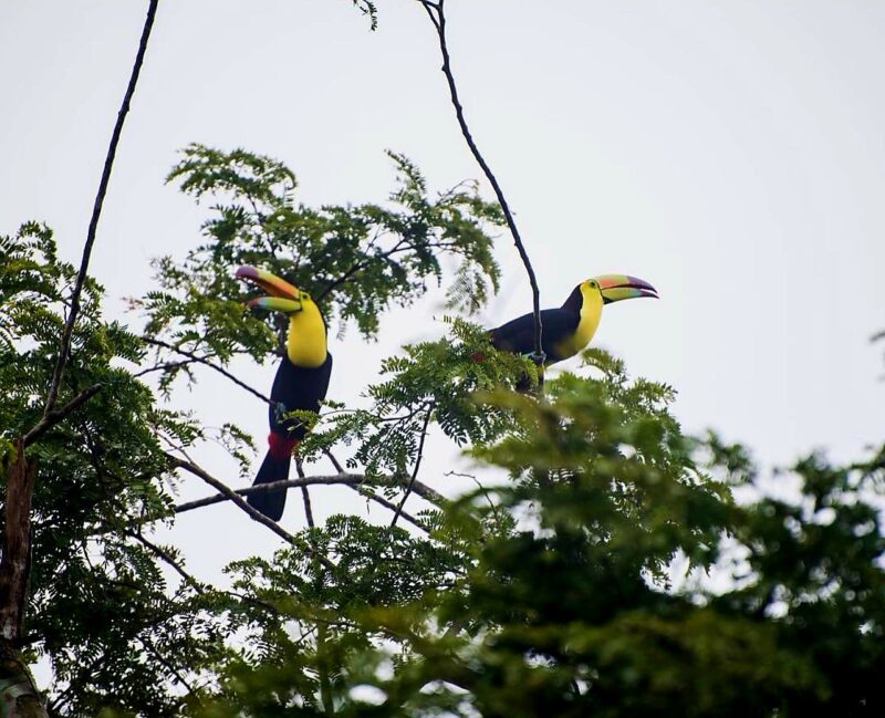 visit Belize in the fall
