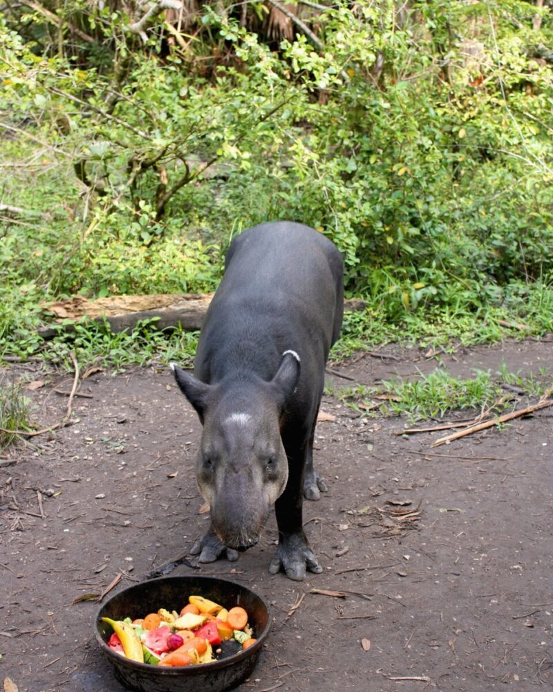 Belize adventures 2026 Belize adventures 2026