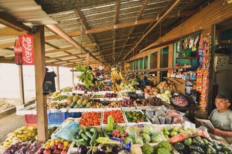 best things to do in san ignacio belize best things to do in san ignacio belize