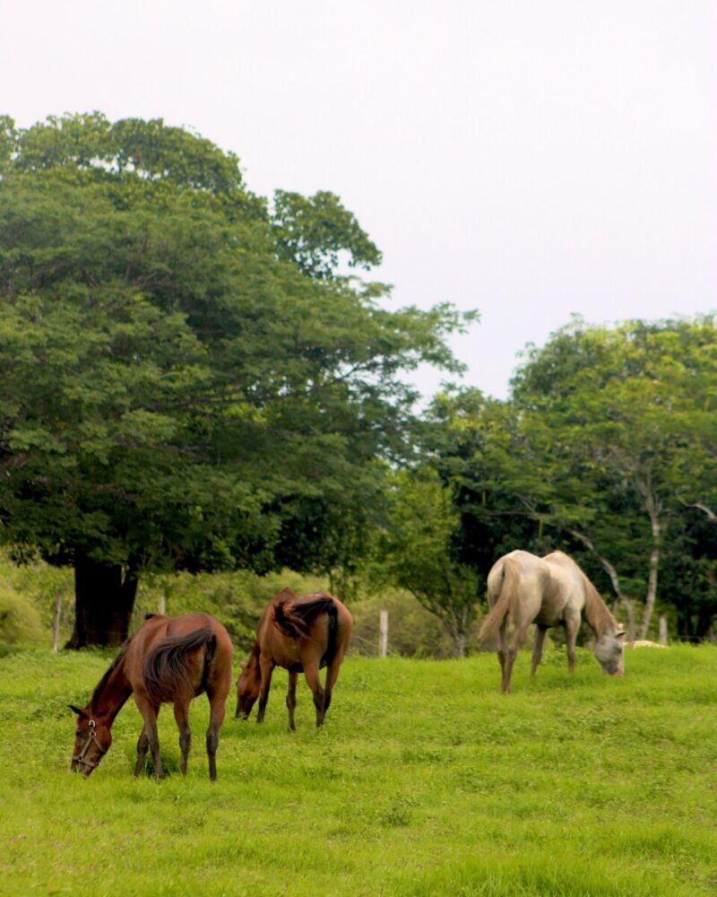 Belize summer travel