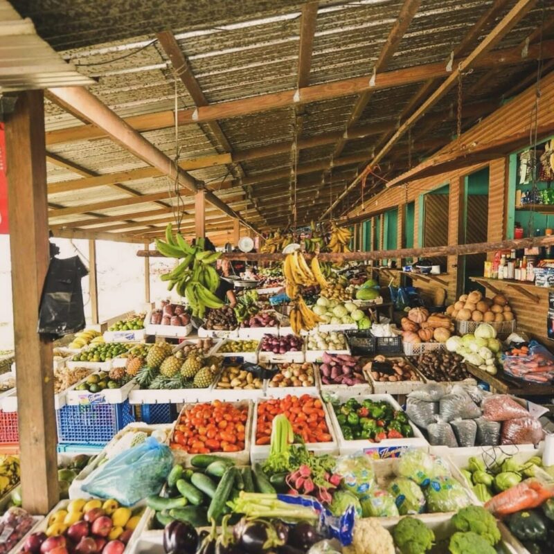 san ignacio market san ignacio market