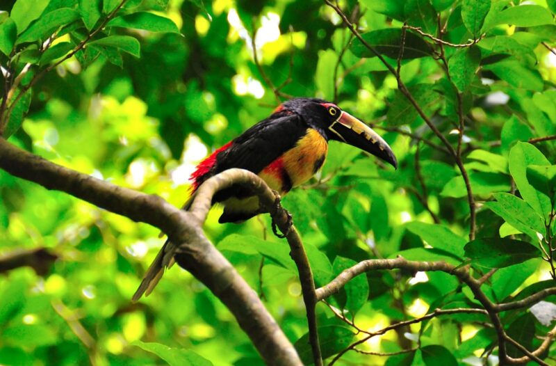 adventure travel Belize