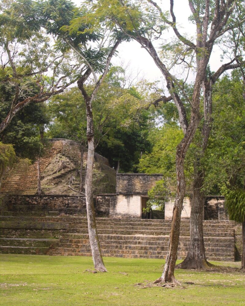  Belize jungle vacation