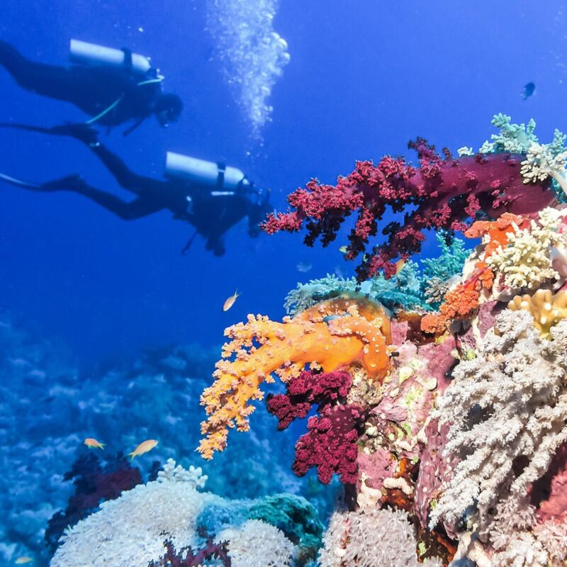 tropical winter escape Belize