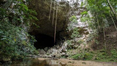 Belize Cave Jungle Adventure Tour Belize Cave Jungle Adventure Tour