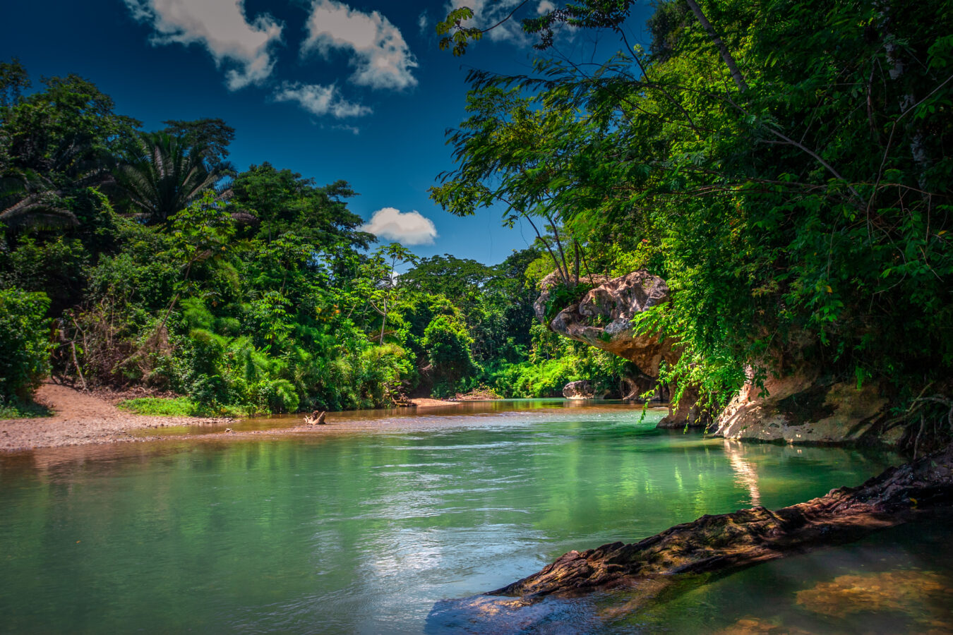 Belize Rainforests Belize Rainforests