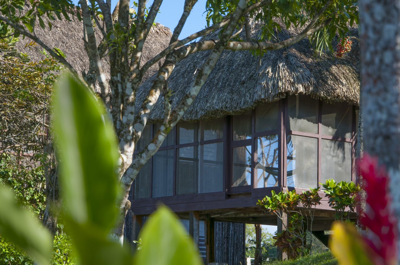 Belize Workcation