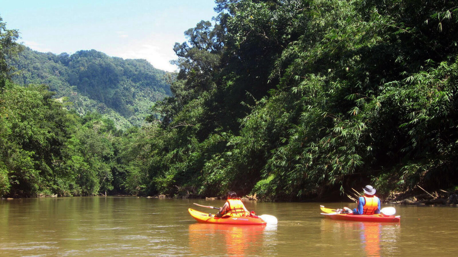 Serene Jungle Rivers