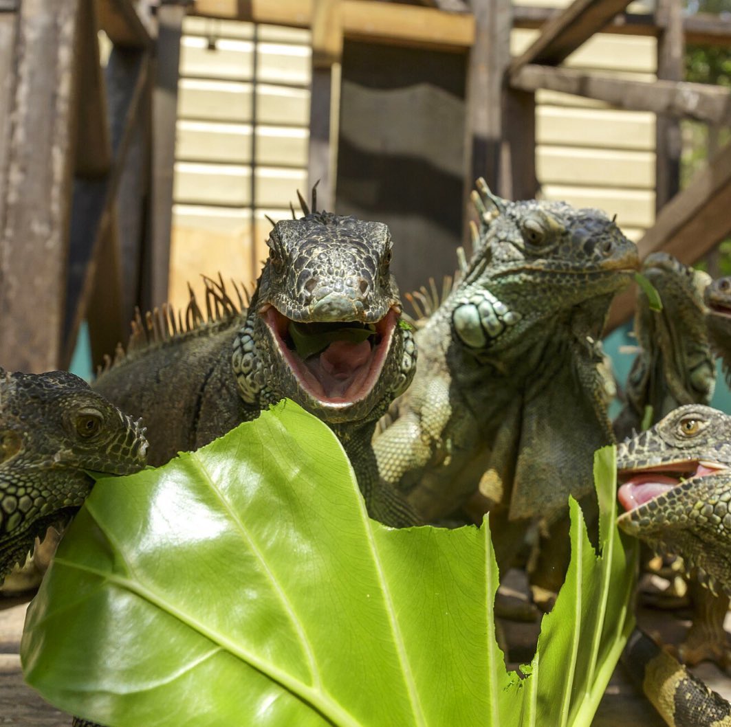 The Best Nine Attractions To Visit