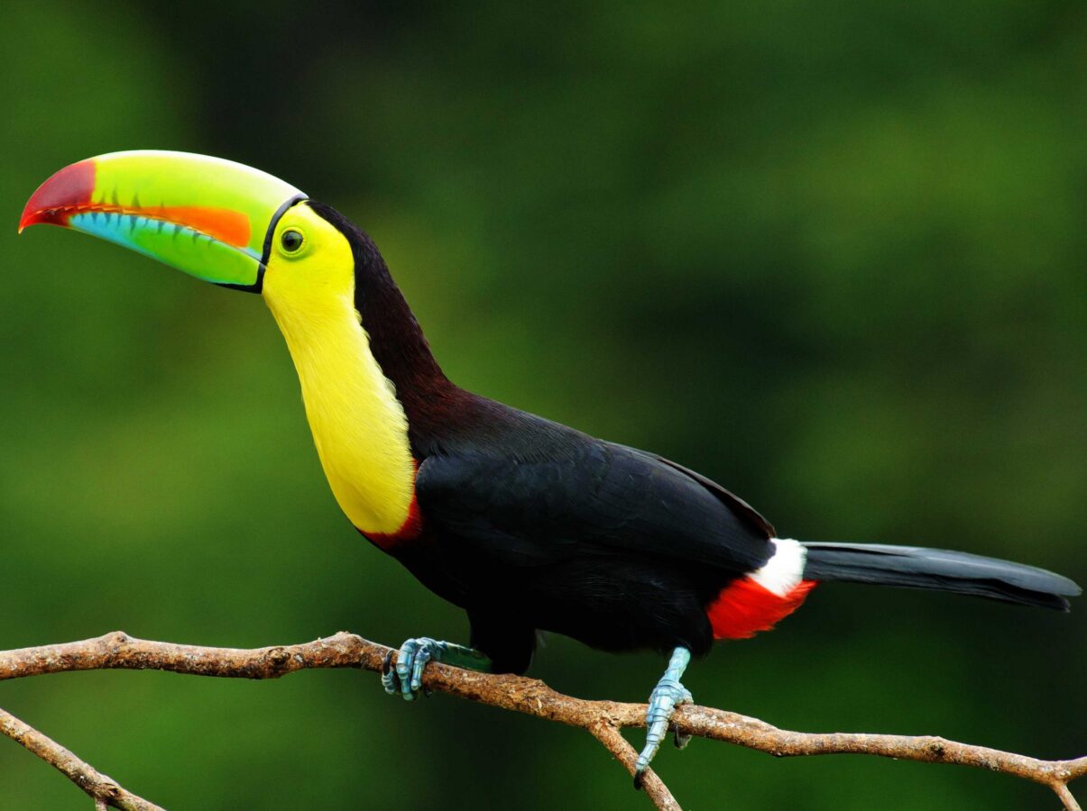 Visiting Belize in October and November