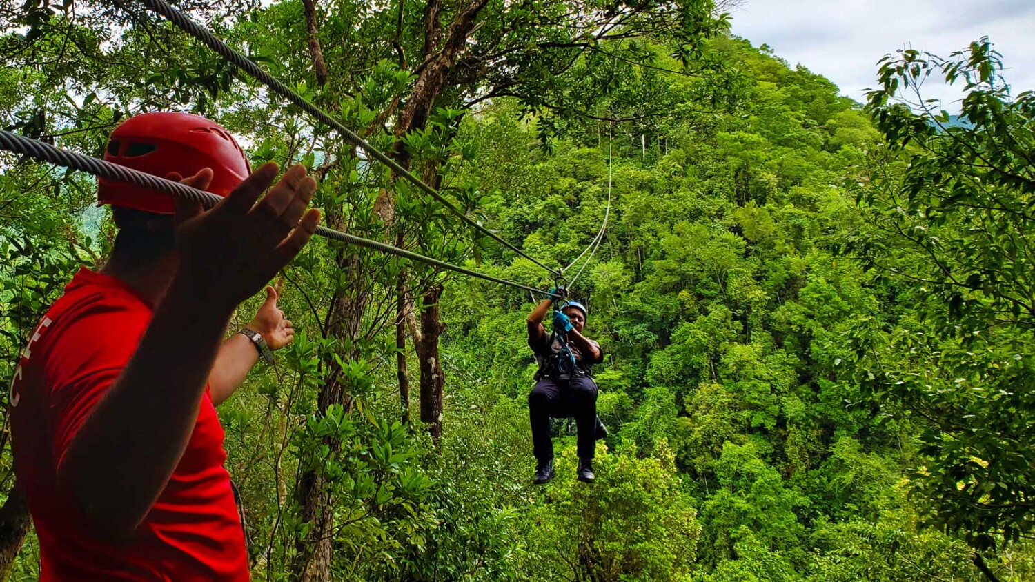 Zipping Above the Canopy