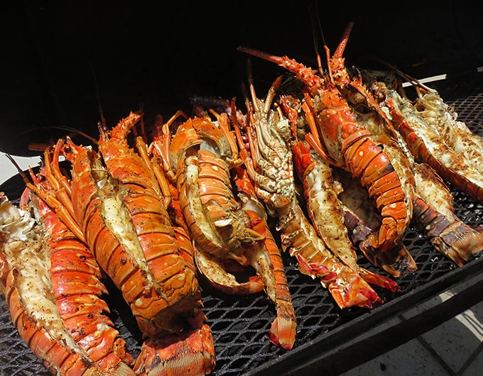 belize-lobsterfest