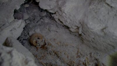 maya tomb discovered in belize