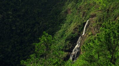 Discover the Beauty of Belize in 2024